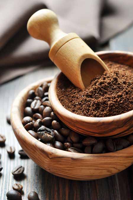 Fresh-roasted-coffee-beans-and-grounds.jpg